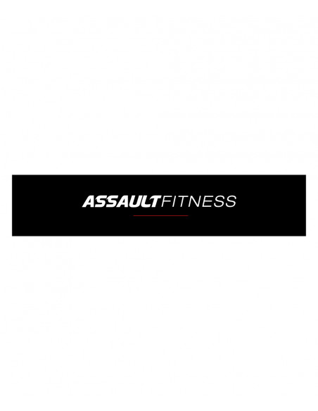 Assault Fitness Banner